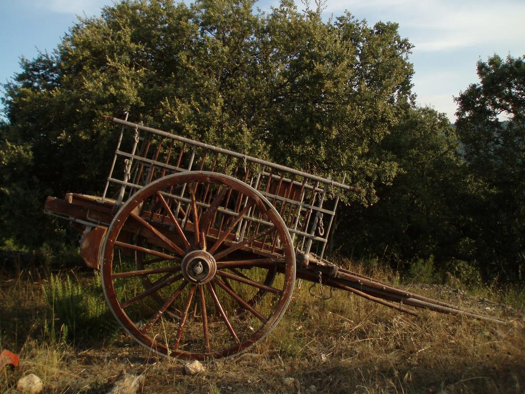 Masia De La Serra De La Cogulla Penarroya De Tastavins Екстер'єр фото